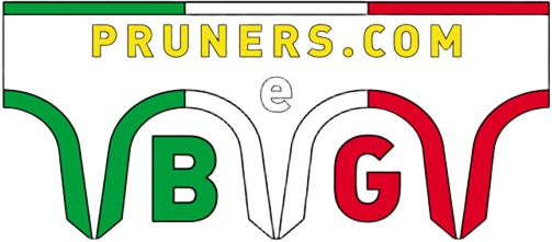 Logo B.E.G